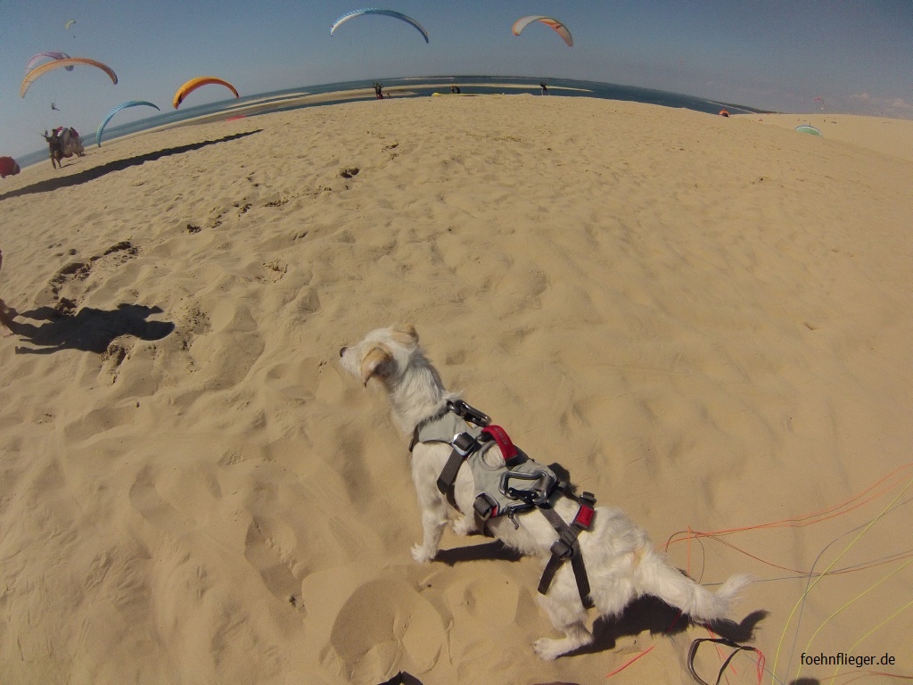 GPTempDownload (25).jpg